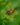 Jackie best m Bq Qcom CCI4 unsplash