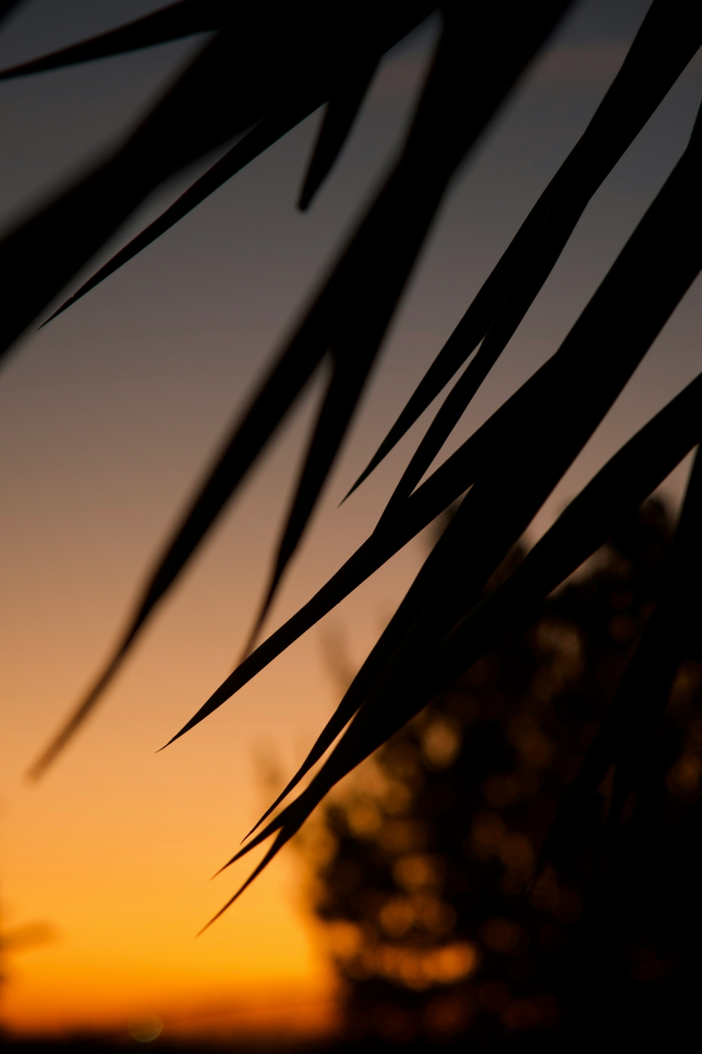 Ivo sousa martins w F83j En6 ZKA unsplash